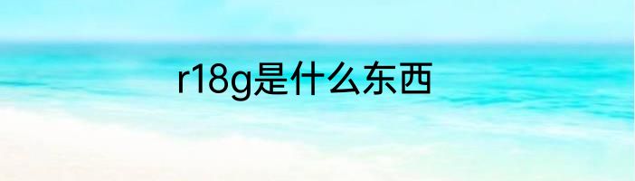 r18g是什么东西