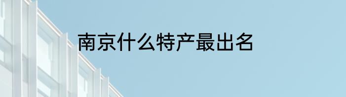 南京什么特产最出名