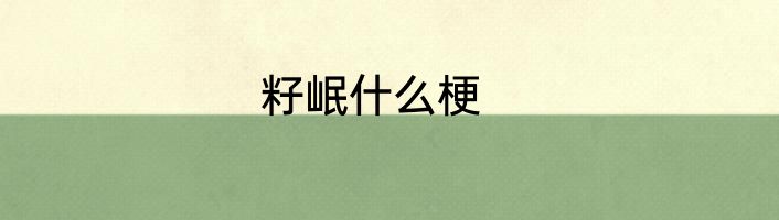 籽岷什么梗