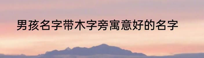 男孩名字带木字旁寓意好的名字