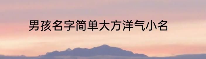 男孩名字简单大方洋气小名