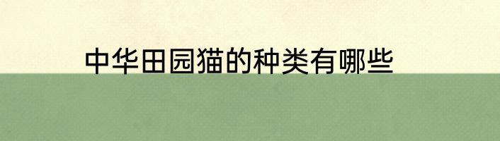 中华田园猫的种类有哪些