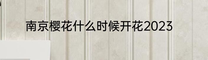 南京樱花什么时候开花2023