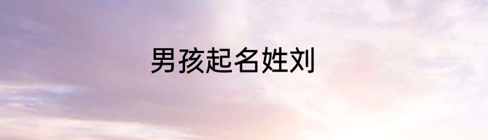 男孩起名姓刘