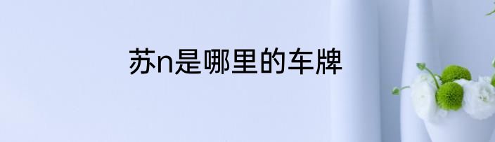 苏n是哪里的车牌