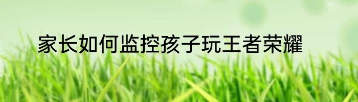 家长如何监控孩子玩王者荣耀