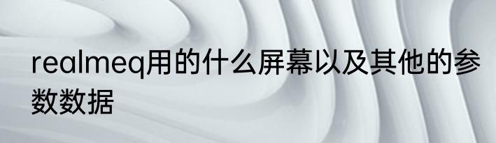 realmeq用的什么屏幕以及其他的参数数据