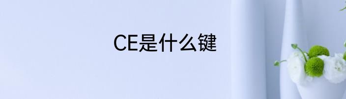 CE是什么键