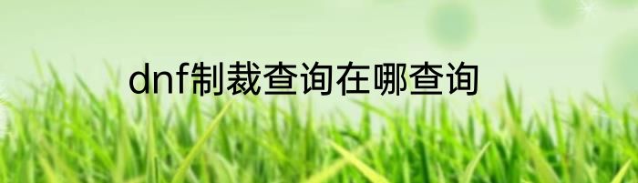 dnf制裁查询在哪查询