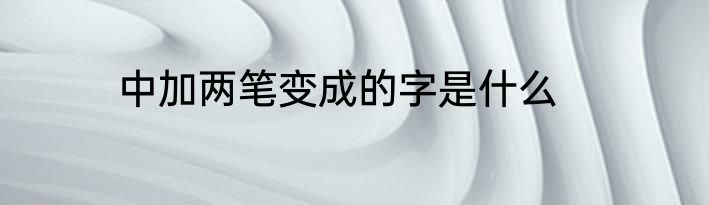 中加两笔变成的字是什么