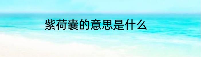 紫荷囊的意思是什么