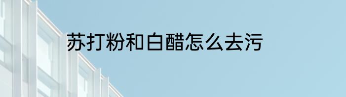 苏打粉和白醋怎么去污