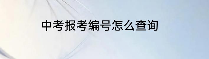 中考报考编号怎么查询
