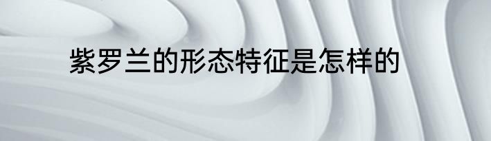 紫罗兰的形态特征是怎样的