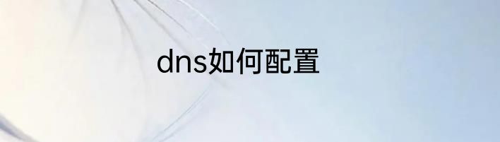 dns如何配置