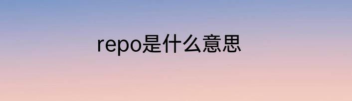 repo是什么意思