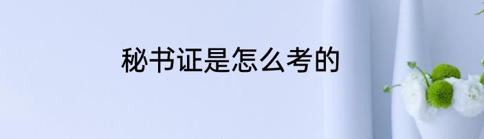 秘书证是怎么考的