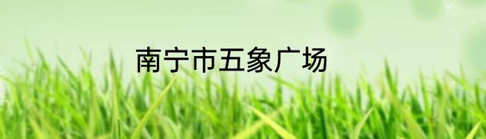 南宁市五象广场
