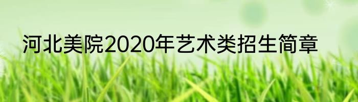 河北美院2020年艺术类招生简章