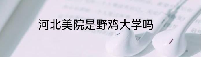 河北美院是野鸡大学吗
