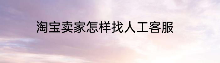 淘宝卖家怎样找人工客服