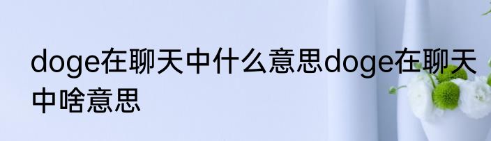 doge在聊天中什么意思doge在聊天中啥意思