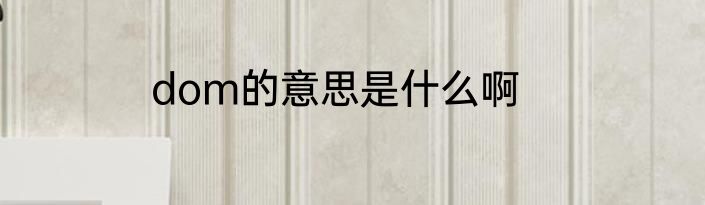 dom的意思是什么啊