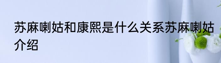 苏麻喇姑和康熙是什么关系苏麻喇姑介绍