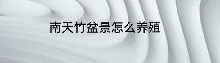 南天竹盆景怎么养殖