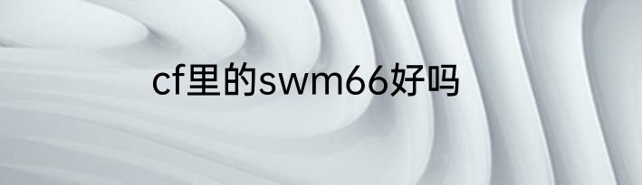 cf里的swm66好吗