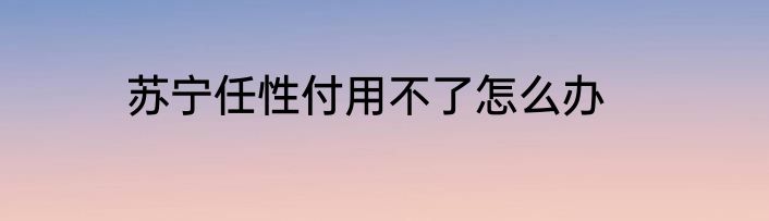 苏宁任性付用不了怎么办