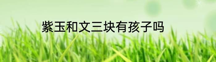 紫玉和文三块有孩子吗