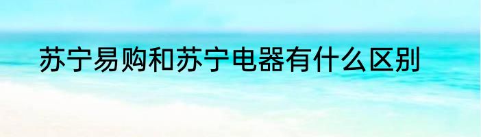苏宁易购和苏宁电器有什么区别