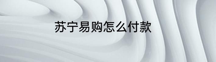 苏宁易购怎么付款