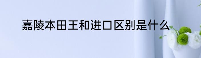 嘉陵本田王和进口区别是什么