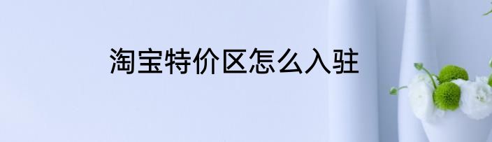淘宝特价区怎么入驻