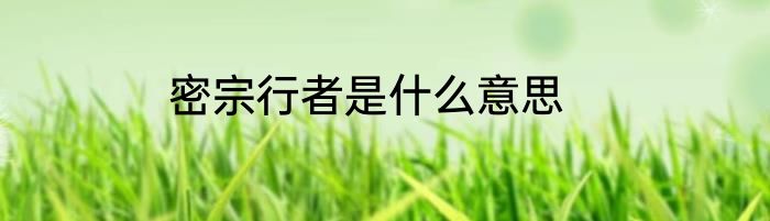 密宗行者是什么意思