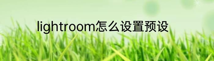 lightroom怎么设置预设