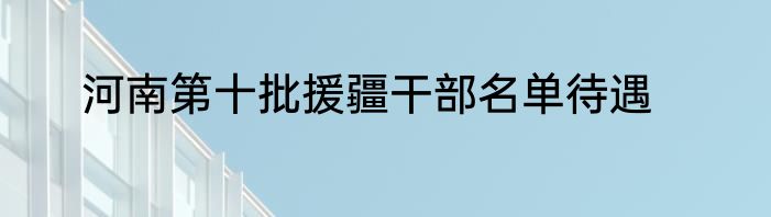 河南第十批援疆干部名单待遇
