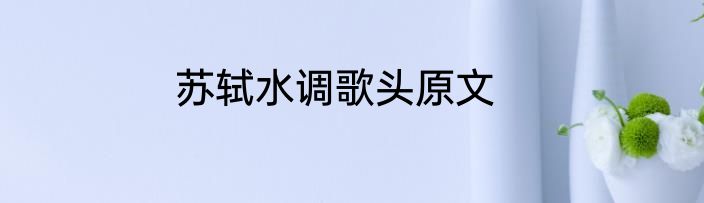 苏轼水调歌头原文