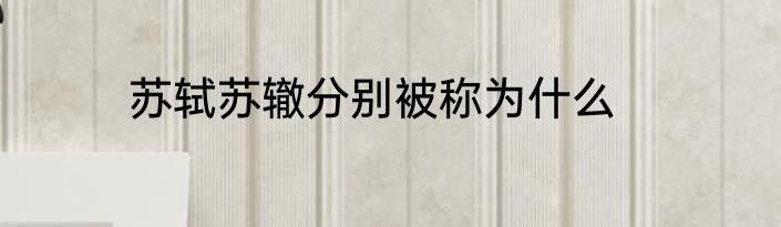 苏轼苏辙分别被称为什么