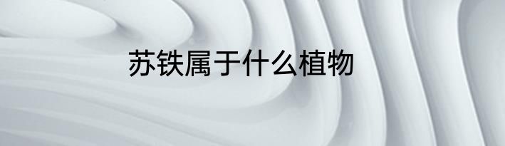 苏铁属于什么植物