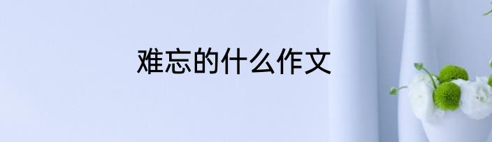 难忘的什么作文