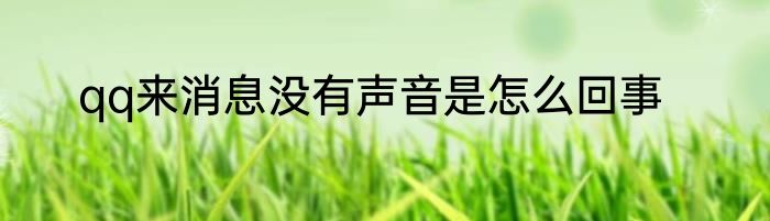 qq来消息没有声音是怎么回事
