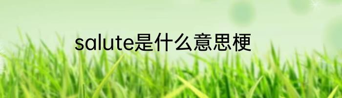 salute是什么意思梗