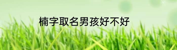 楠字取名男孩好不好
