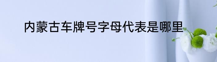 内蒙古车牌号字母代表是哪里