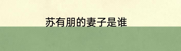 苏有朋的妻子是谁