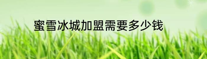 蜜雪冰城加盟需要多少钱