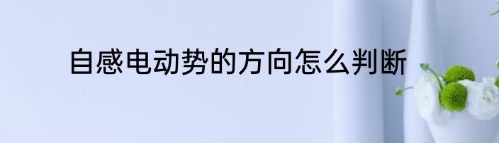 自感电动势的方向怎么判断